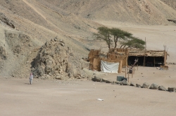 Campement bdouin dans le Dsert Arabique (Egypte)