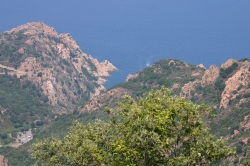 Calanches de Piana (Corse)